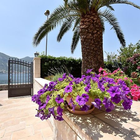Apartmán Maniva Penthouse By The Sea Kotor Exteriér fotografie