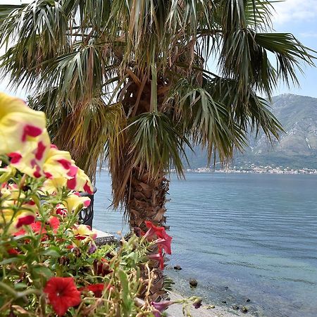 Apartmán Maniva Penthouse By The Sea Kotor Exteriér fotografie