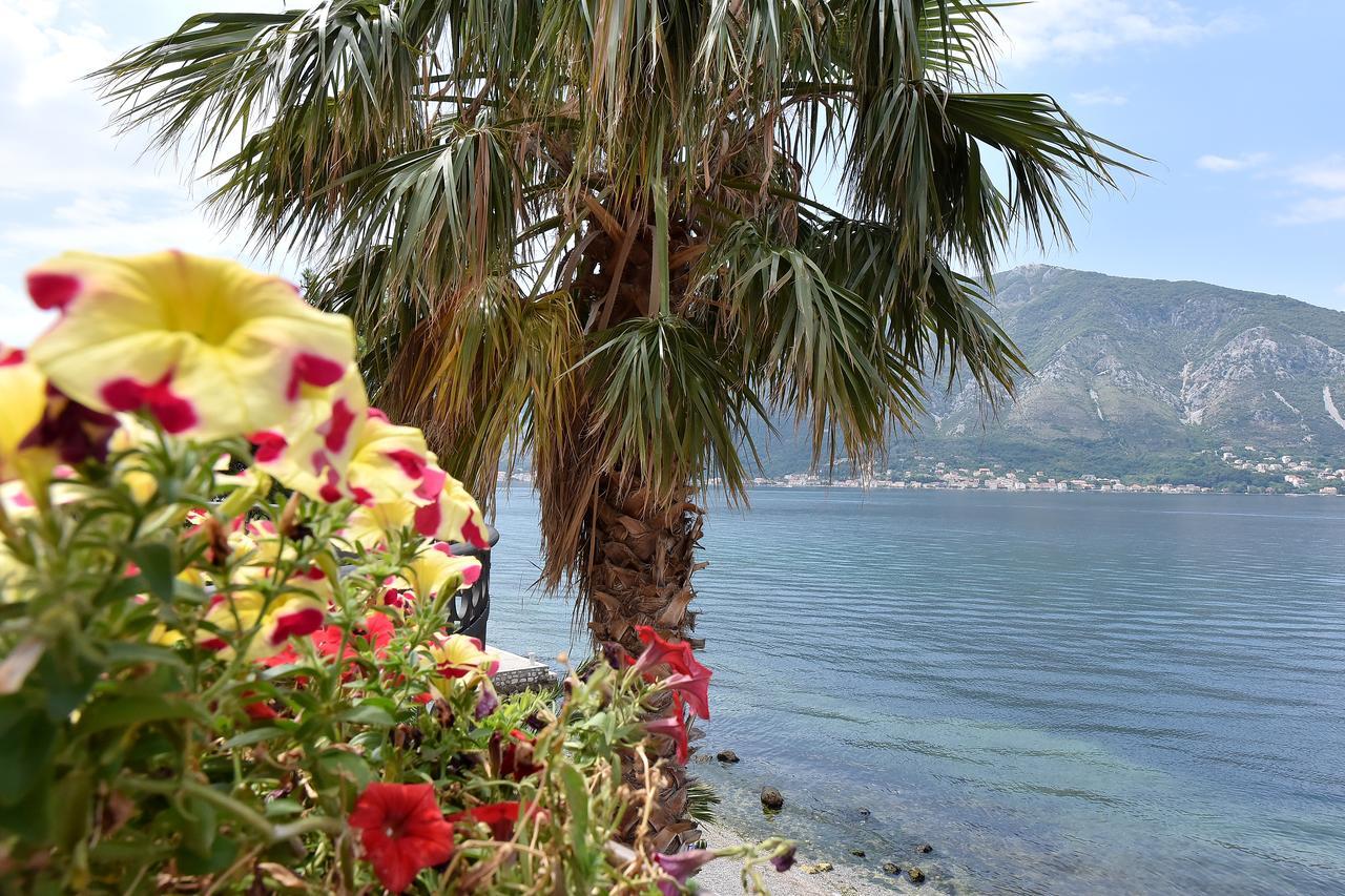 Apartmán Maniva Penthouse By The Sea Kotor Exteriér fotografie